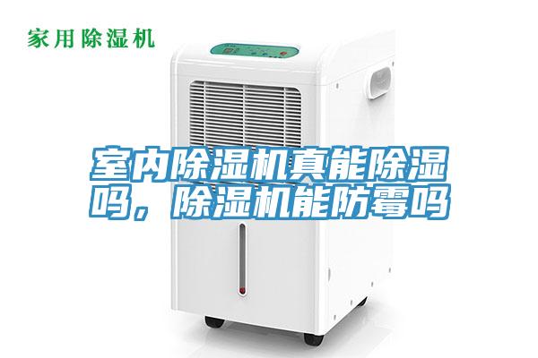室內91看片软件大全真能除濕嗎，91看片软件大全能防黴嗎