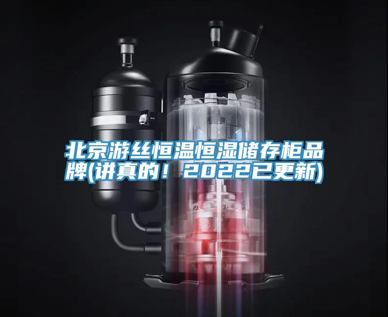 北京遊絲恒溫恒濕儲存櫃品牌(講真的！2022已更新)