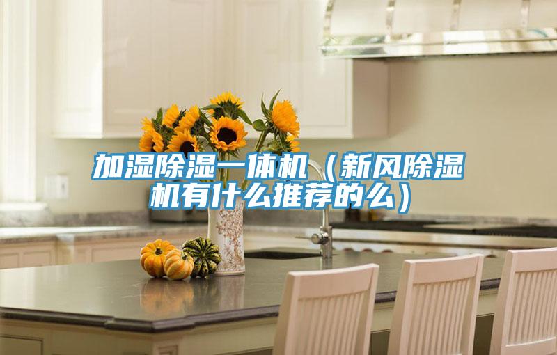 加濕除濕一體機（新風91看片软件大全有什麽推薦的麽）