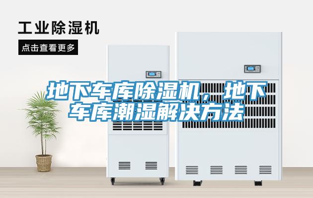 地下車庫91看片软件大全，地下車庫潮濕解決方法