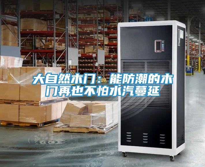 大自然木門：能防潮的木門再也不怕水汽蔓延