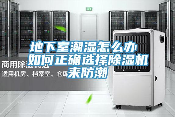 地下室潮濕怎麽辦 如何正確選擇91看片软件大全來防潮