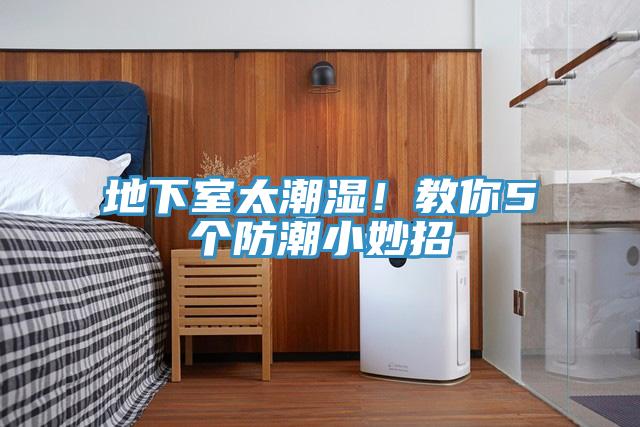 地下室太潮濕！教你5個防潮小妙招
