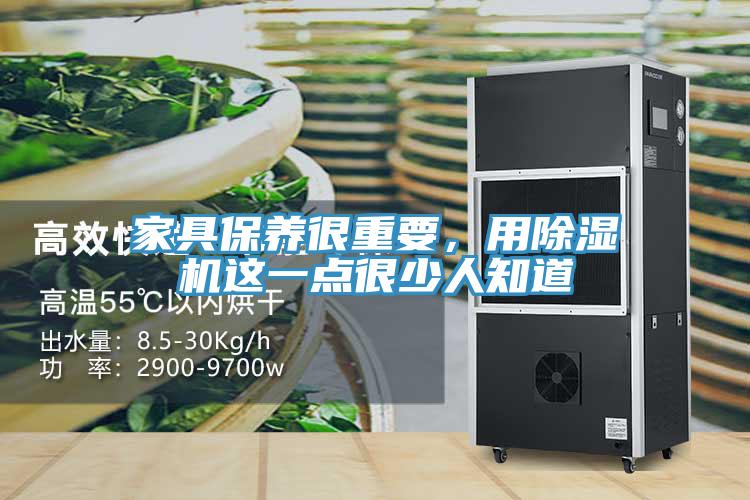家具保養很重要，用91看片软件大全這一點很少人知道