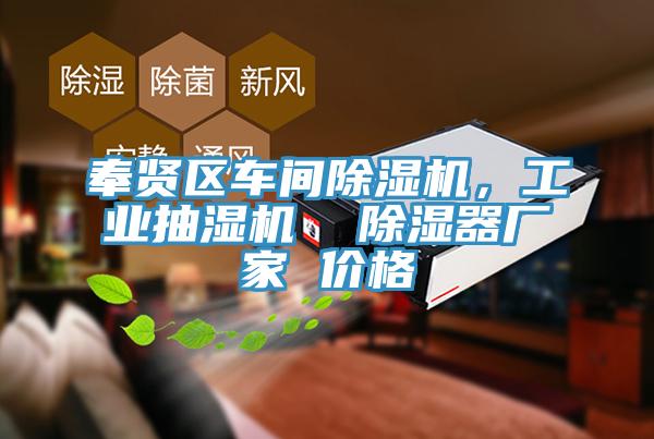 奉賢區車間91看片软件大全，工業抽濕機  除濕器廠家 價格