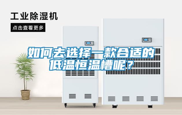 如何去選擇一款合適的低溫恒溫槽呢？