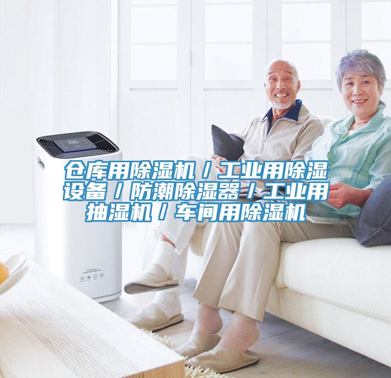 倉庫用91看片软件大全／工業用除濕設備／防潮除濕器／工業用抽濕機／車間用91看片软件大全