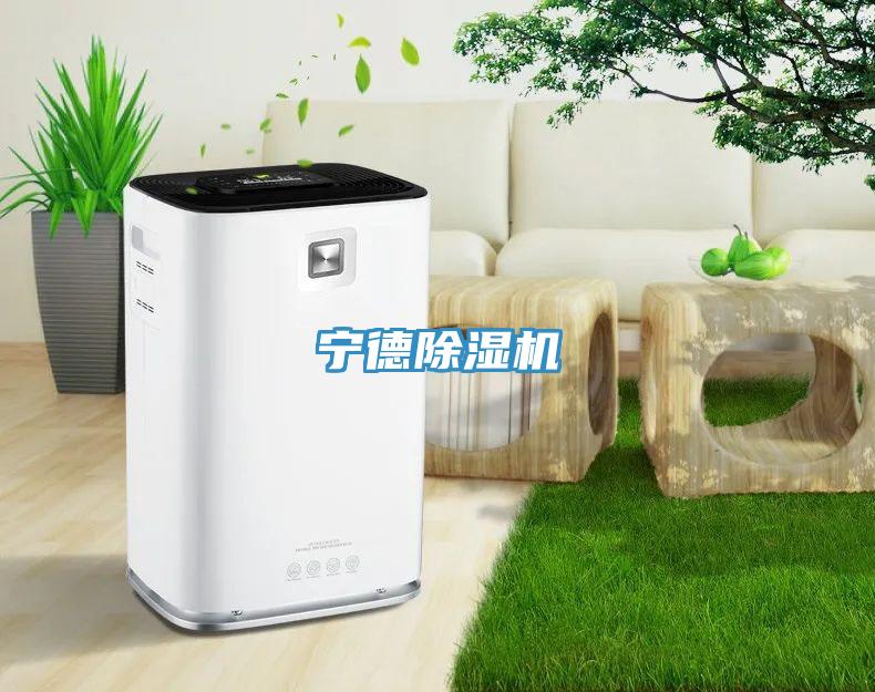 寧德91看片软件大全