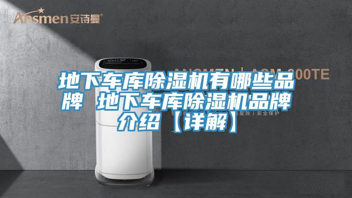 地下車庫91看片软件大全有哪些品牌 地下車庫91看片软件大全品牌介紹【詳解】