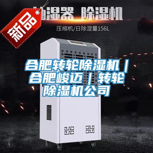 合肥轉輪91看片软件大全｜合肥峻邁｜轉輪91看片软件大全公司