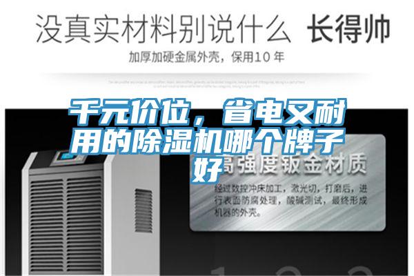 千元價位，省電又耐用的91看片软件大全哪個牌子好