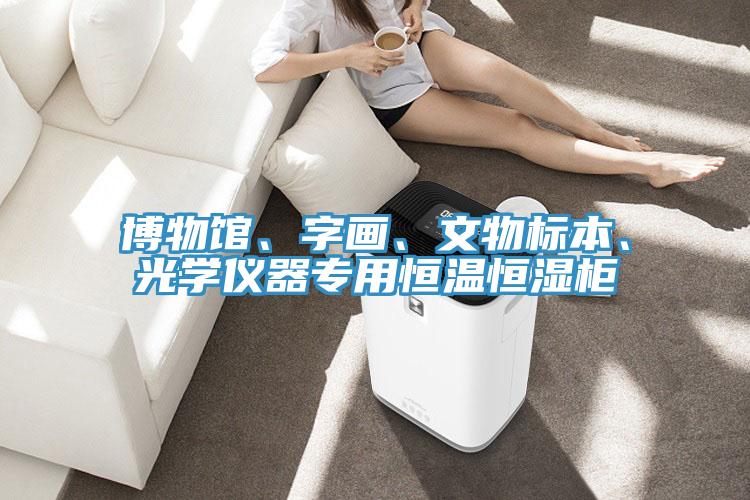 博物館、字畫、文物標本、光學儀器專用恒溫恒濕櫃