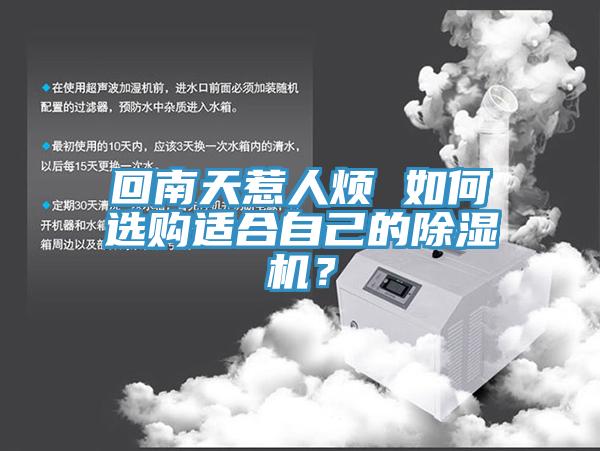 回南天惹人煩 如何選購適合自己的91看片软件大全？