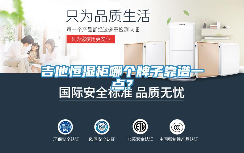 吉他恒濕櫃哪個牌子靠譜一點？