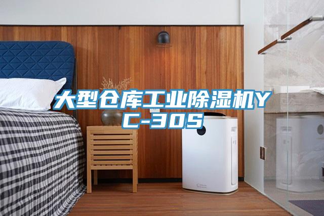 大型倉庫工業91看片软件大全YC-30S