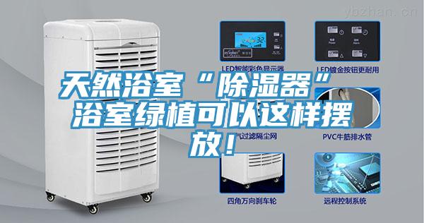 天然浴室“除濕器” 浴室綠植可以這樣擺放！