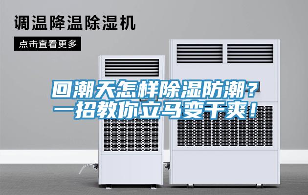 回潮天怎樣除濕防潮？一招教你立馬變幹爽！