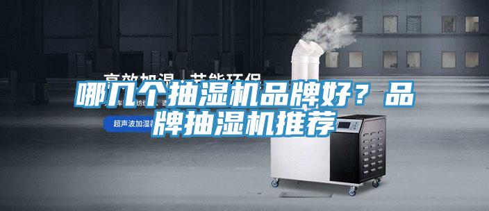 哪幾個抽濕機品牌好？品牌抽濕機推薦