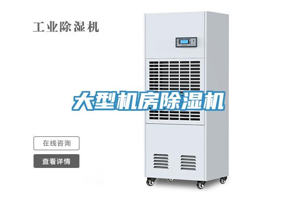 大型機房91看片软件大全