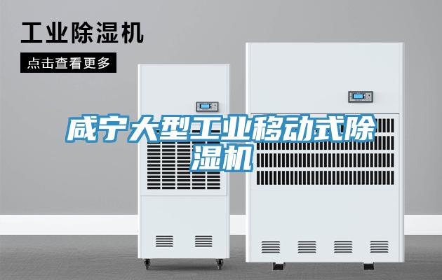 鹹寧大型工業移動式91看片软件大全