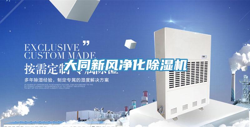 大同新風淨化91看片软件大全
