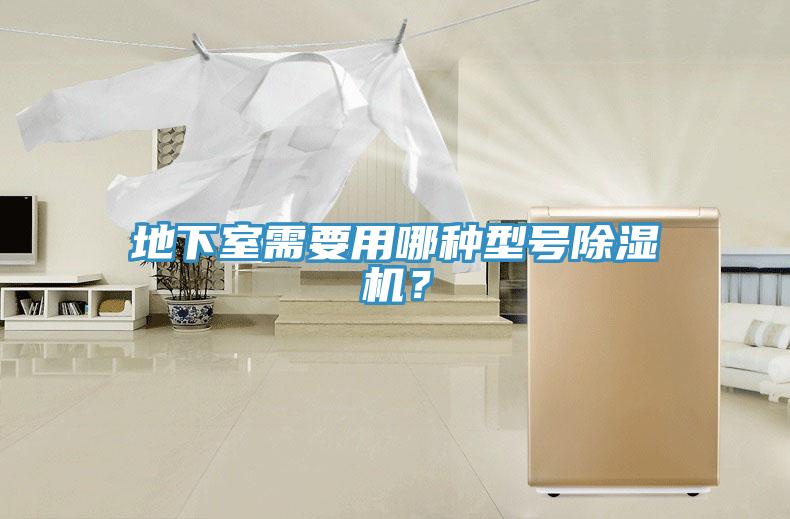 地下室需要用哪種型號91看片软件大全？