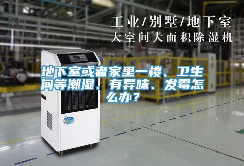 地下室或者家裏一樓、衛生間等潮濕、有異味、發黴怎麽辦？