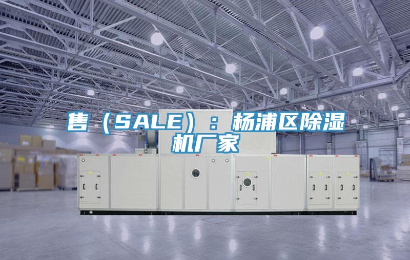 售（SALE）：楊浦區91看片软件大全廠家