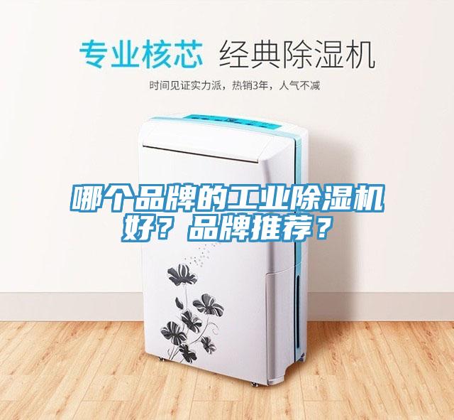 哪個品牌的工業91看片软件大全好？品牌推薦？