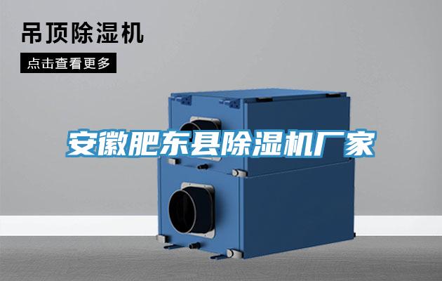 安徽肥東縣91看片软件大全廠家