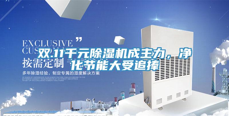 雙.11千元91看片软件大全成主力，淨化節能大受追捧