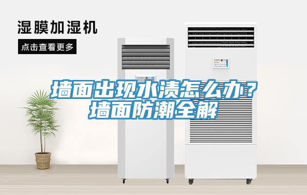牆麵出現水漬怎麽辦？牆麵防潮全解
