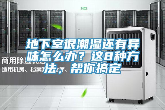 地下室很潮濕還有異味怎麽辦？這8種方法，幫你搞定
