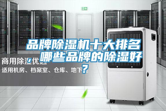 品牌91看片软件大全十大排名，哪些品牌的除濕好？