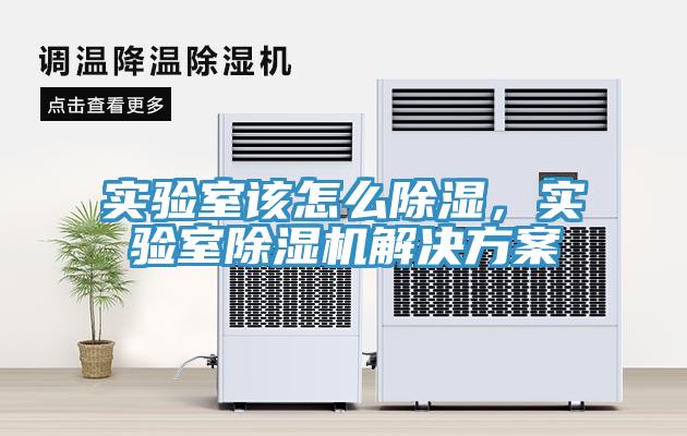 實驗室該怎麽除濕，實驗室91看片软件大全解決方案
