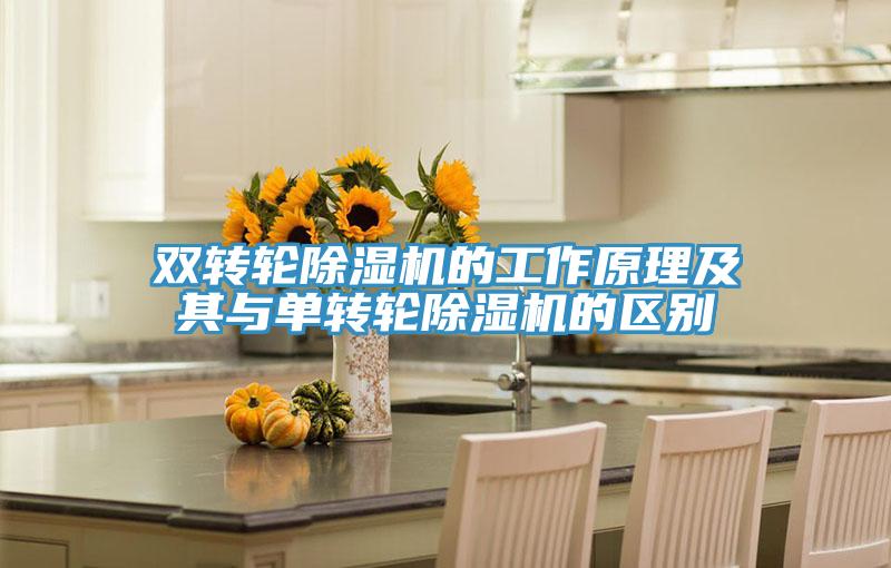 雙轉輪91看片软件大全的工作原理及其與單轉輪91看片软件大全的區別