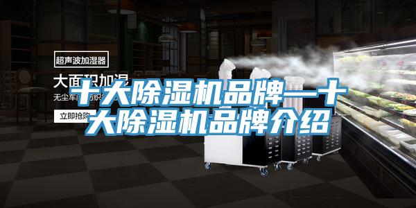 十大91看片软件大全品牌—十大91看片软件大全品牌介紹