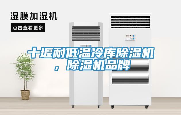 十堰耐低溫冷庫91看片软件大全，91看片软件大全品牌
