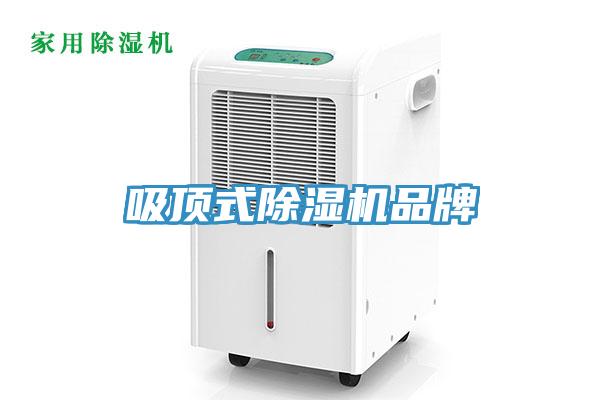 吸頂式91看片软件大全品牌