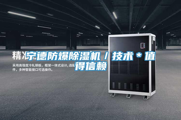 寧德防爆91看片软件大全／技術＊值得信賴