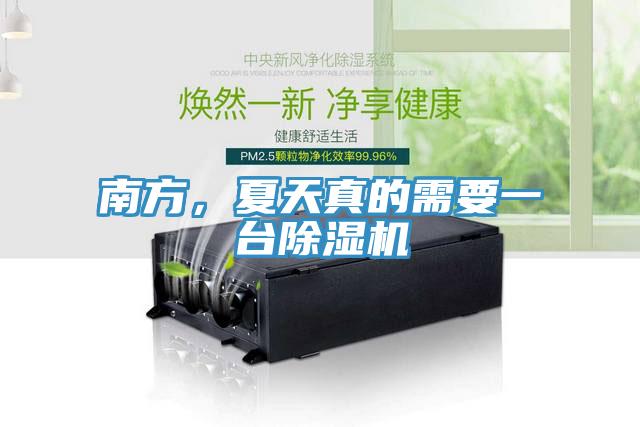 南方，夏天真的需要一台91看片软件大全