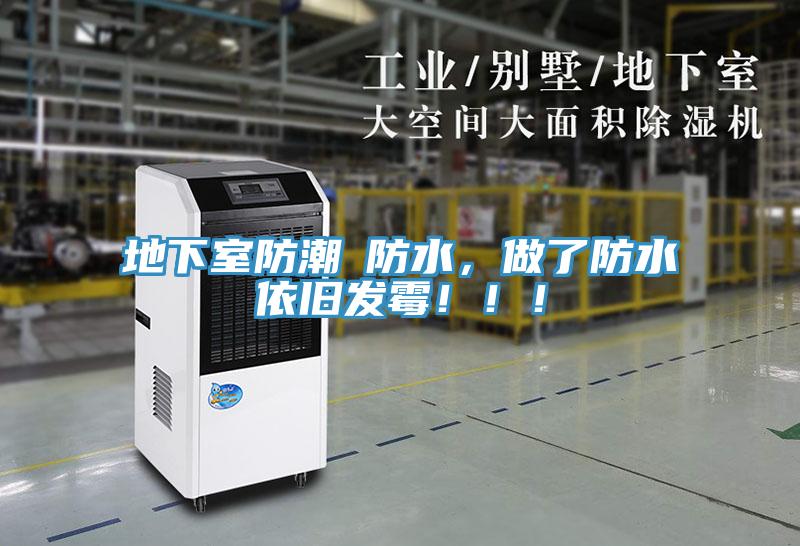 地下室防潮≠防水，做了防水依舊發黴！！！
