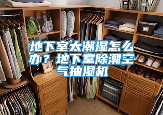 地下室太潮濕怎麽辦？地下室除潮空氣抽濕機