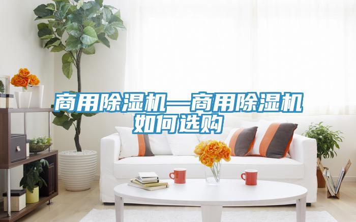 商用91看片软件大全—商用91看片软件大全如何選購