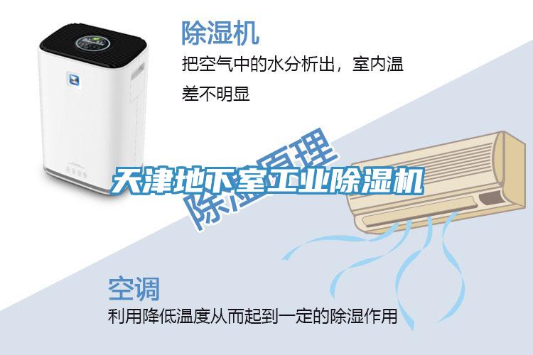 天津地下室工業91看片软件大全