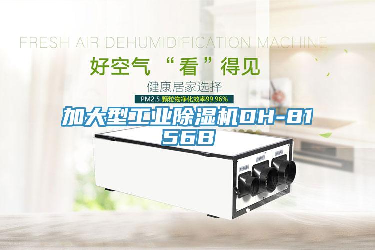 加大型工業91看片软件大全DH-8156B