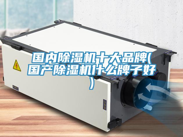 國內91看片软件大全十大品牌(國產91看片软件大全什麽牌子好)