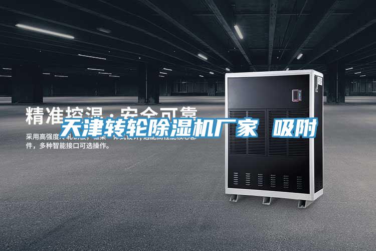天津轉輪91看片软件大全廠家 吸附