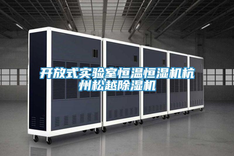 開放式實驗室恒溫恒濕機杭州鬆越91看片软件大全