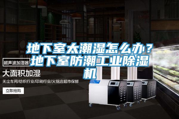 地下室太潮濕怎麽辦？地下室防潮工業91看片软件大全